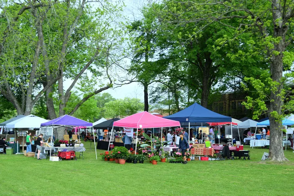 Navigating Candler-McAfee: Landmarks We Serve in Candler-McAfee